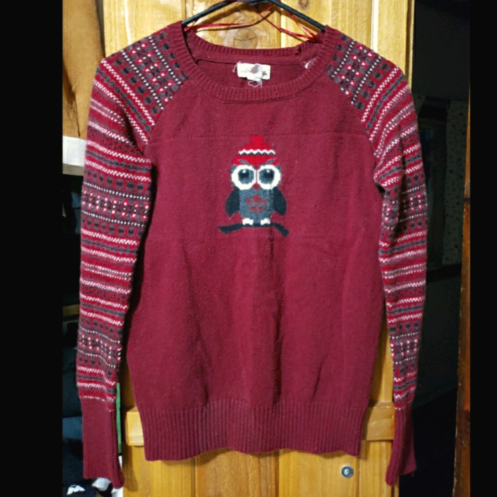Striped Sleeve Owl Sweater